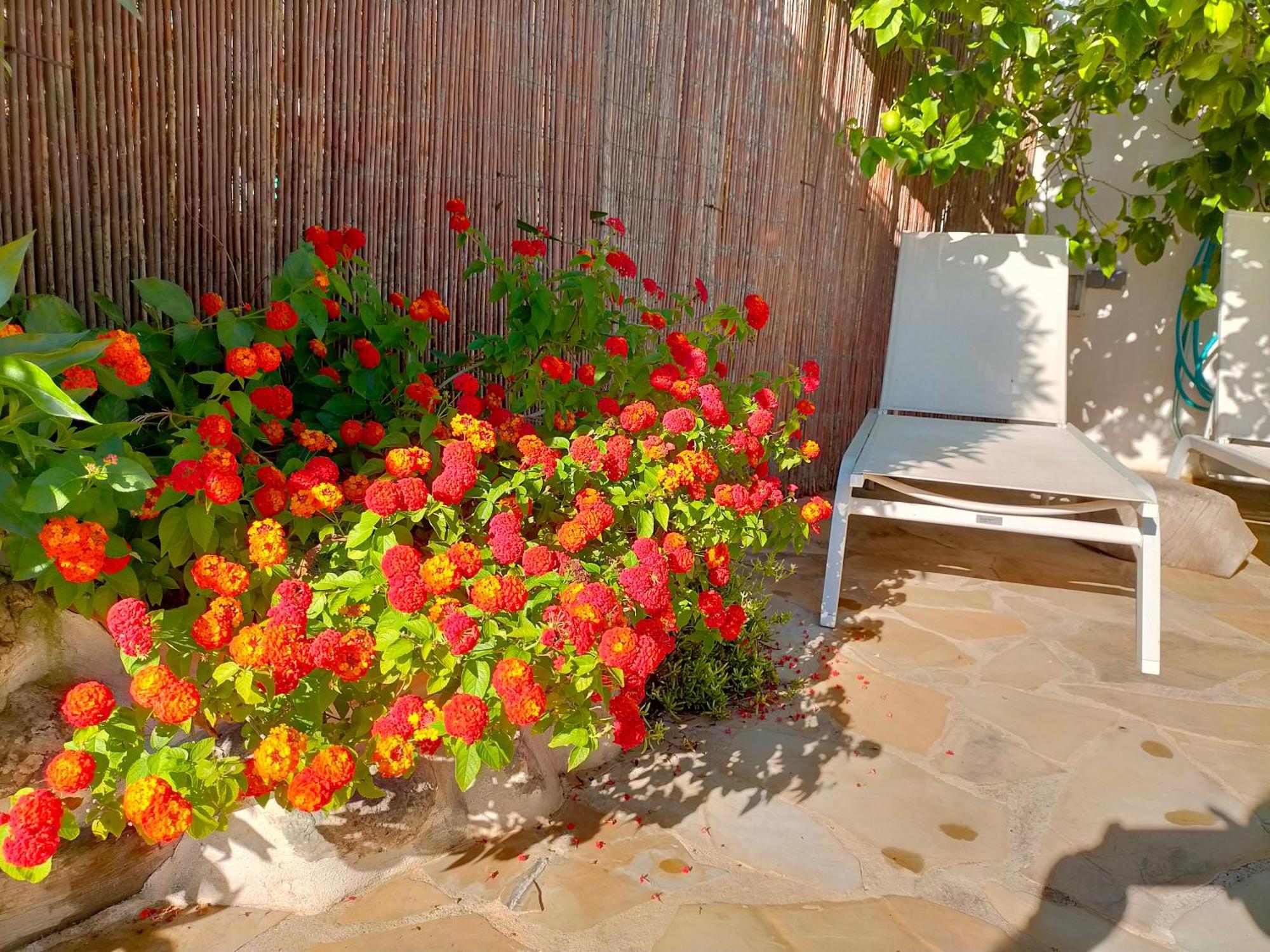 Casa Rural Tia Salome San Jorge  ภายนอก รูปภาพ